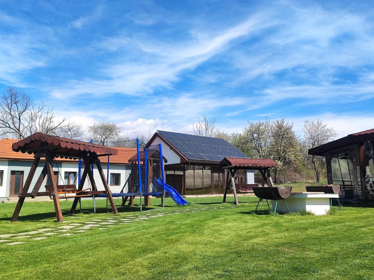 Pensiunea Casa Hortopan Târgu Jiu Esterno foto
