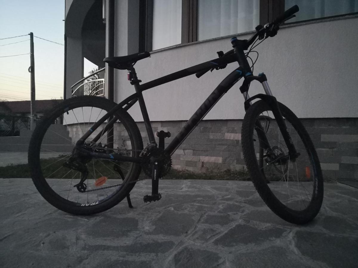 Pensiunea Casa Hortopan Târgu Jiu Esterno foto